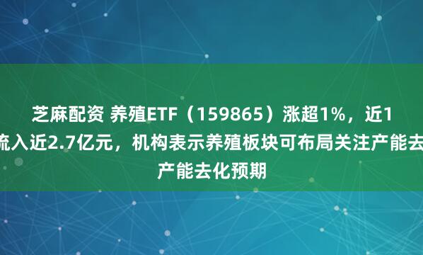 芝麻配资 养殖ETF(159865)涨超1%,近10日净流入近2.7亿元,机构表示养殖板块可布局关注产能去化预期