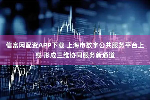 信富网配资APP下载 上海市数字公共服务平台上线 形成三维协同服务新通道