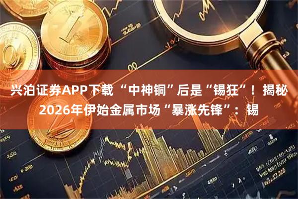 兴泊证券APP下载 “中神铜”后是“锡狂”！揭秘2026年伊始金属市场“暴涨先锋”：锡