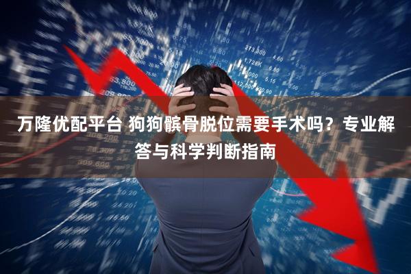 万隆优配平台 狗狗髌骨脱位需要手术吗？专业解答与科学判断指南