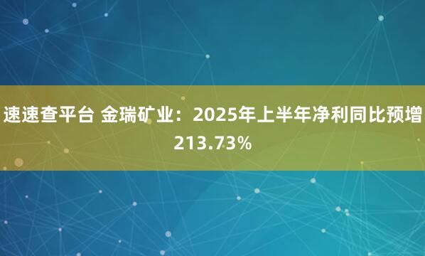 速速查平台 金瑞矿业：2025年上半年净利同比预增213.73%