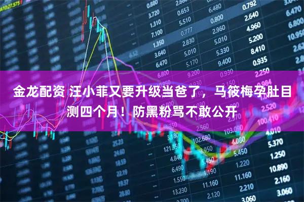 金龙配资 汪小菲又要升级当爸了,马筱梅孕肚目测四个月!防黑粉骂不敢公开